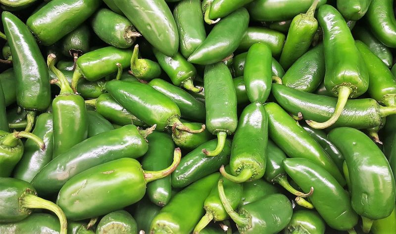 Chile Jalapeño