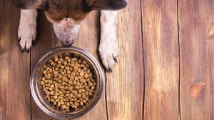 Croquetas para Perro Adulto