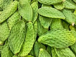 Nopales