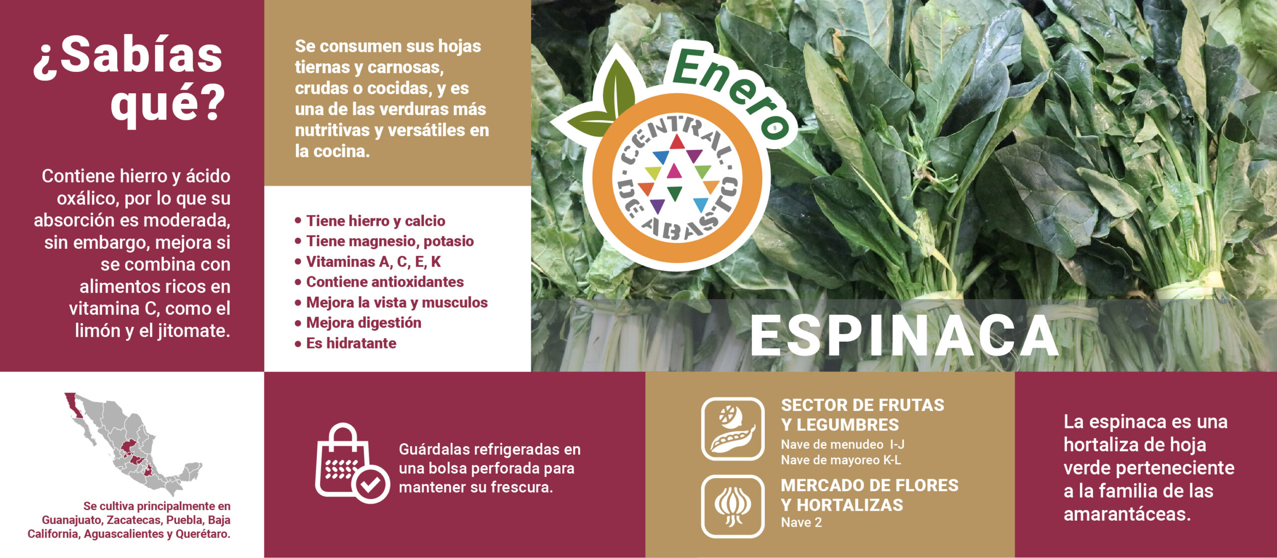 FRUTASdtemporada ENE pagWEB-03