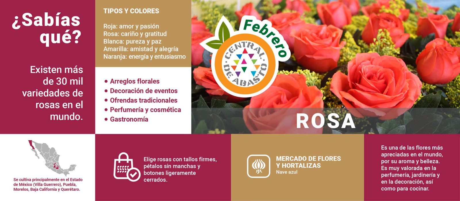 FRUTASdtemporada FEB pagWEB-05