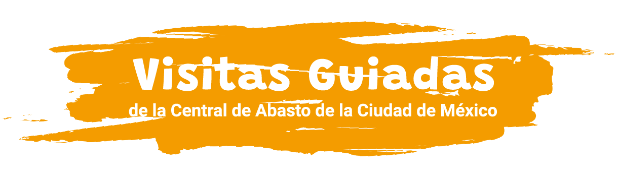 Recorrido Central de Abasto