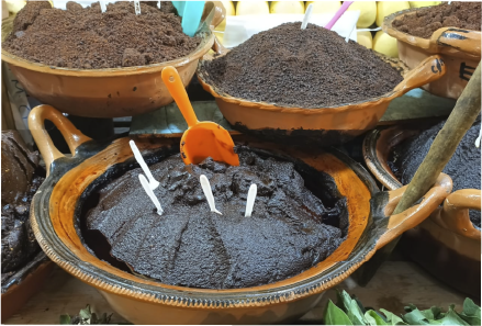 Verduras en exhibición