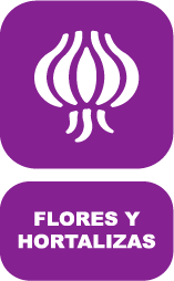 Frutas y legumbres