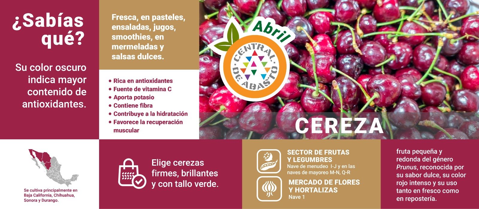 WhatsApp Image 2026-04-07 at 2.47.57 PM (1)