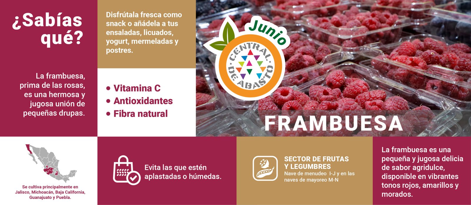FRUTASdtemporada JUN pagWEB-02