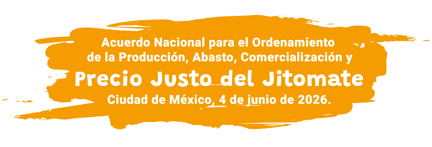 Recorrido Central de Abasto