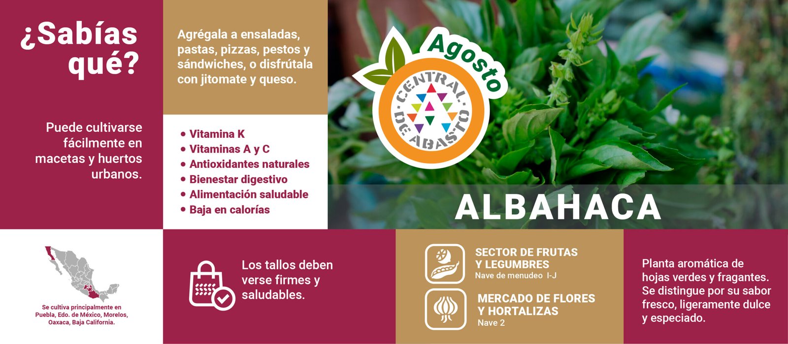 Frutas de temporada de julio