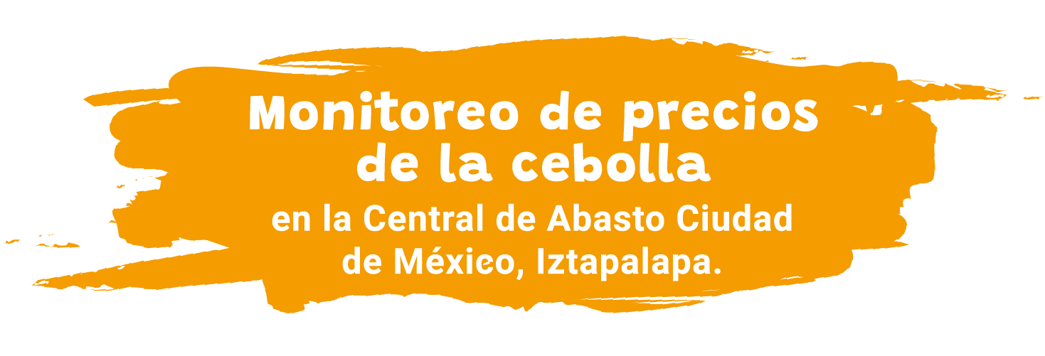 Recorrido Central de Abasto